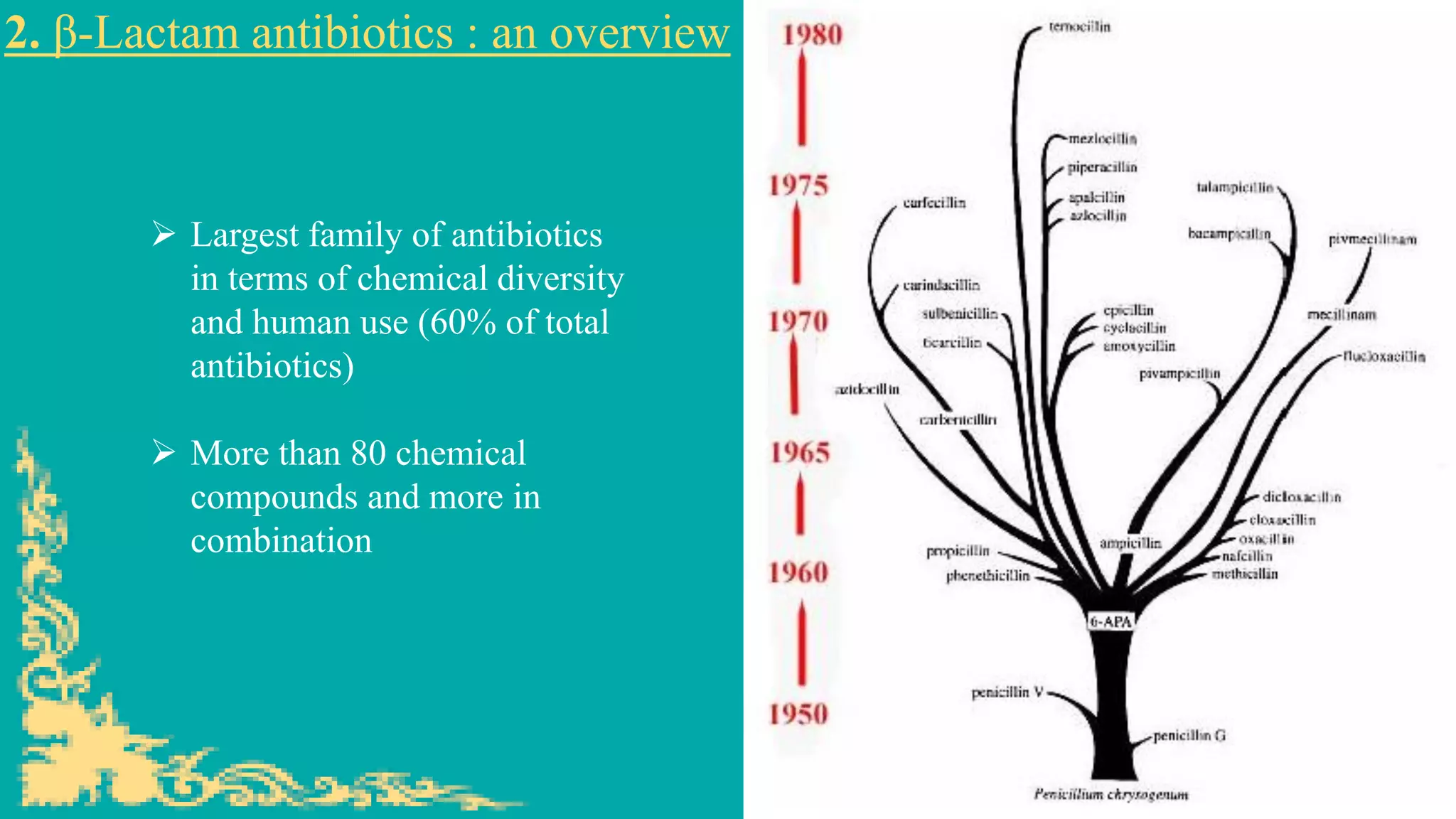 2. β-Lactam antibiotics : an overview
➢ Largest family of antibiotics
in terms of chemical diversity
and human use (60% of total
antibiotics)
➢ More than 80 chemical
compounds and more in
combination
 