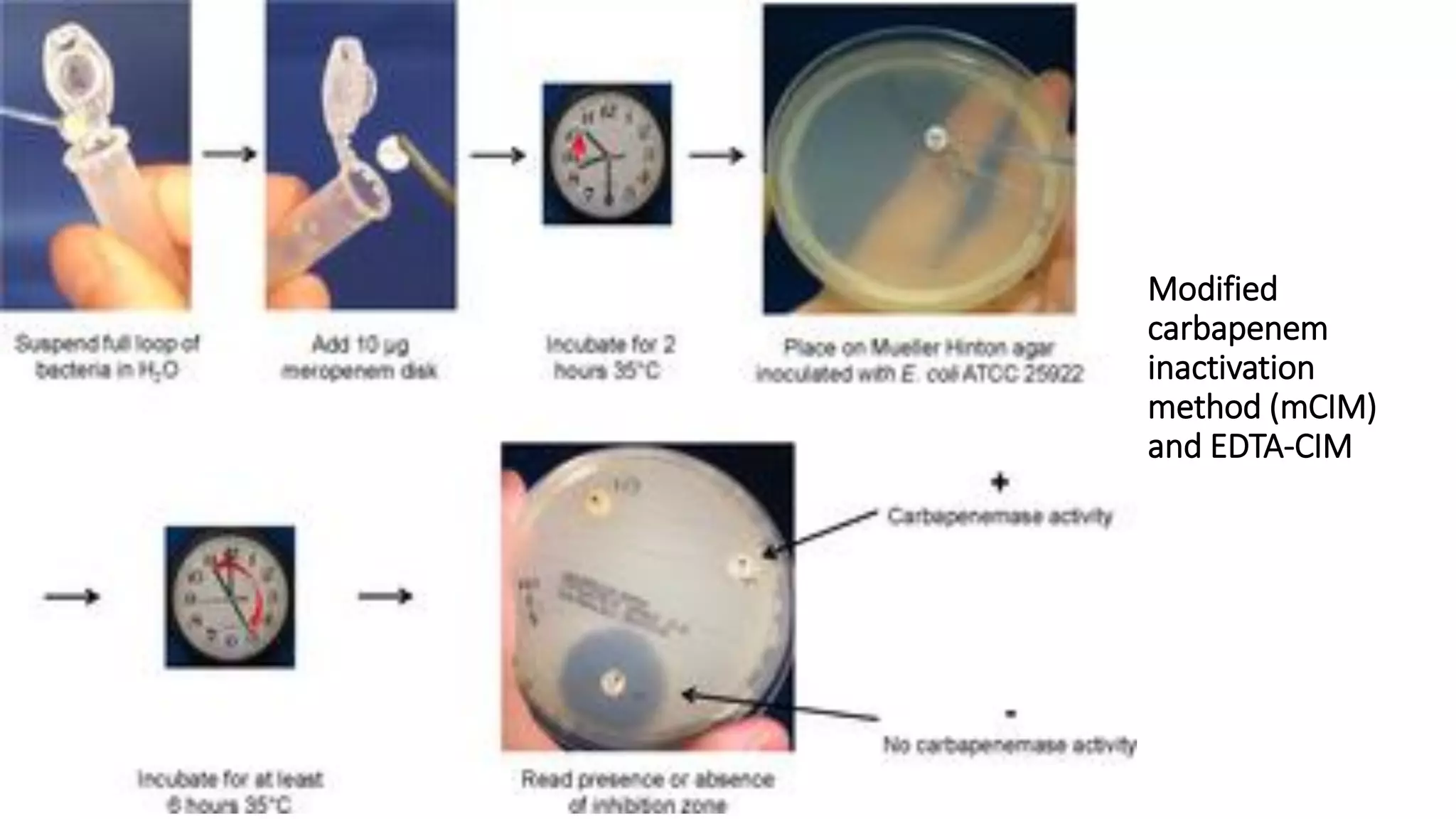 Modified
carbapenem
inactivation
method (mCIM)
and EDTA-CIM
 