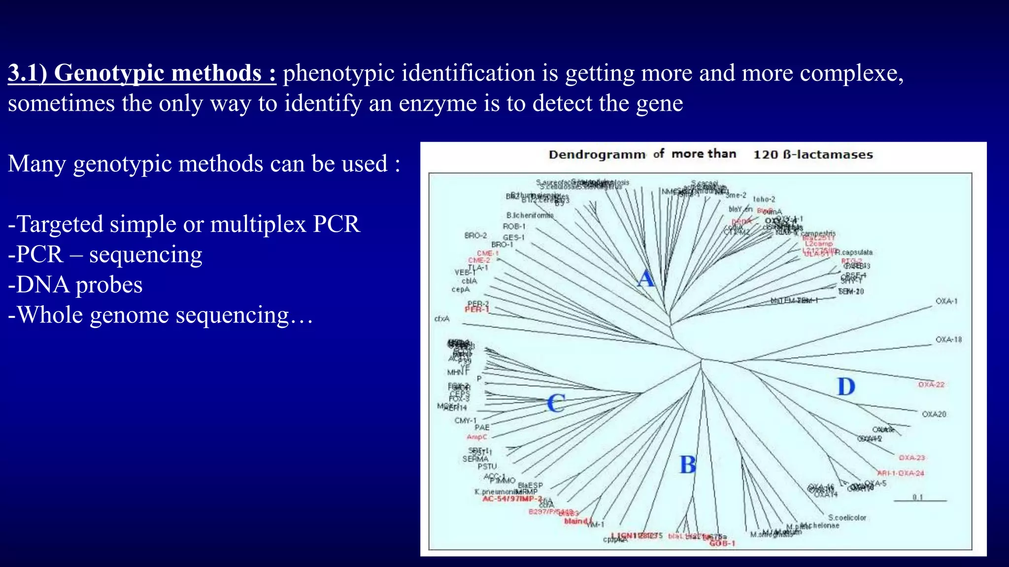 3.1) Genotypic methods : phenotypic identification is getting more and more complexe,
sometimes the only way to identify an enzyme is to detect the gene
Many genotypic methods can be used :
-Targeted simple or multiplex PCR
-PCR – sequencing
-DNA probes
-Whole genome sequencing…
 