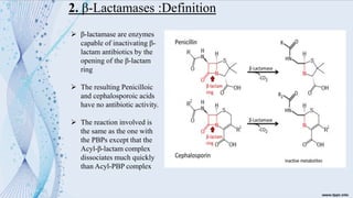 2. β-Lactamases :Definition
➢ β-lactamase are enzymes
capable of inactivating β-
lactam antibiotics by the
opening of the β-lactam
ring
➢ The resulting Penicilloic
and cephalosporoic acids
have no antibiotic activity.
➢ The reaction involved is
the same as the one with
the PBPs except that the
Acyl-β-lactam complex
dissociates much quickly
than Acyl-PBP complex
 