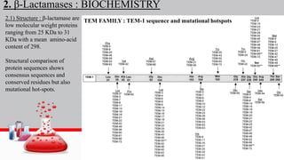2. β-Lactamases : BIOCHEMISTRY
2.1) Structure : β-lactamase are
low molecular weight proteins
ranging from 25 KDa to 31
KDa with a mean amino-acid
content of 298.
Structural comparison of
protein sequences shows
consensus sequences and
conserved residues but also
mutational hot-spots.
TEM FAMILY : TEM-1 sequence and mutational hotspots
 