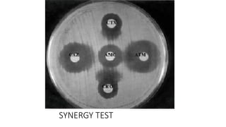 SYNERGY TEST
 