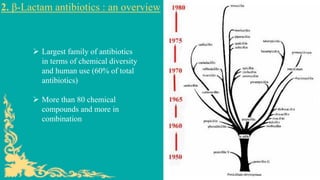 2. β-Lactam antibiotics : an overview
➢ Largest family of antibiotics
in terms of chemical diversity
and human use (60% of total
antibiotics)
➢ More than 80 chemical
compounds and more in
combination
 