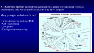 3.1) Genotypic methods : phenotypic identification is getting more and more complexe,
sometimes the only way to identify an enzyme is to detect the gene
Many genotypic methods can be used :
-Targeted simple or multiplex PCR
-PCR – sequencing
-DNA probes
-Whole genome sequencing…
 