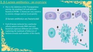 2. β-Lactam antibiotics : an overview
➢ Due to the inhibition of the Transpeptidase
activity, the resulting Cell wall deficient
bacteria (CWDB / L-forms) are very sensitive
to osmotic changes and are lysed quickly
β-lactam antibiotics are bactericidal
➢ Each β-lactam molecule has a particular
affinity pattern towards PBPs and each
bacterium expresses different sets of PBPs
explaining the multitude of behaviors of
bacteria towards each member of this family
 
