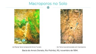 (a) Piping" ativo na bacia do Arroio Turcato (b) Terra roxa estruturada com macroporos
Bacia do Arroio Donato, Rio Potiribú, RS, novembro de 1994.
 