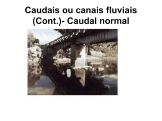 Caudais ou canais fluviais
(Cont.)- Caudal normal
 