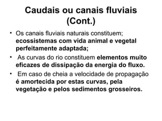 Caudais ou canais fluviais
(Cont.)
• Os canais fluviais naturais constituem;
ecossistemas com vida animal e vegetal
perfeitamente adaptada;
• As curvas do rio constituem elementos muito
eficazes de dissipação da energia do fluxo.
• Em caso de cheia a velocidade de propagação
é amortecida por estas curvas, pela
vegetação e pelos sedimentos grosseiros.
 