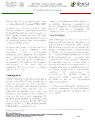 SERVICIO NACIONAL DE SANIDAD,
INOCUIDAD Y CALIDAD AGROALIMENTARIA
Dirección General de Sanidad Vegetal
Área: Vigilancia Epidemiológica Fitosanitaria
Código EPPO: CRNPPE
Fecha de actualización: Marzo 2016
Soporte Científico: Dr. Gustavo Mora Aguilera, Colegio de Postgraduados, Laboratorio Nacional de Referencia Epidemiológica Fitosanitaria
Responsable Técnico: Ing. Verónica Espínola Arriaga (Análisis Epidemiológico Fitosanitario)
Comentarios y/o sugerencias enviar correo a: sinavef.dgsv@senasica.gob.mx Pág. 17
enfermas junto con sus pedúnculos deben
ser removidas con frecuencia (CABI, 2016).
La mayor parte de las escobas y vainas
enfermas se encuentran en la parte superior
de la planta, sólo un número escaso se
localiza en el tronco y las ramas inferiores.
Cabe señalar que la eliminación debe ser lo
más completa posible para tener mejores
resultados (CABI, 2016).
Es importante asegurarse que todas las
escobas y vainas enfermas sean
eliminadas, y que no permanezcan
suspendidas en las ramas. Se ha observado
que si el saneamiento se ha prolongado por
más de un año, las escobas viejas que se
encuentran en el suelo pueden producir
basidiocarpos a los pocos días en
condiciones de lluvias si no se retiran a
tiempo (CABI, 2016).
Control genético
Porras y Sánchez (1991) mencionan que el
uso de material tolerante contribuye al
control de la escoba de bruja. Los clones
SCA-6 y 12 han sido utilizados como fuentes
de resistencia. Sin embargo, en las
condiciones del Ecuador estos clones han
perdido su resistencia, lo cual sugiere la
presencia de razas más agresivas del
patógeno. Otros materiales utilizados como
fuente de tolerancia son EE-39, EET-400,
Silecia-1, Silecia-5, ICS-6, ICS-95, ICS-98,
TSH-565, Playa Alta 1, 2, 4, y 5.
Parra et al. (2008) recomiendan reemplazar
las plantas altamente susceptibles por
plantas tolerantes a la enfermedad como:
Torno 3, Cuira 38, La Concepción 164,
Chuao 120, OC 61, Porcelana, Choroní 24.
Control biológico
Esta estrategia de manejo se ha venido
desarrollando por más de 20 años; a la
fecha se han aislado nuevas especies como:
Trichoderma stromaticum, un parásito del
micelio y basidiocarpos de M. perniciosa.
En Brasil, las formulaciones comerciales
de T. stromaticum se utilizan en el manejo
de la enfermedad, los resultados son
inconsistentes, lo cual indica la necesidad
de entender más la relación entre el
ambiente de las plantaciones de cacao y la
supervivencia para el establecimiento de
este hongo micoparasítico. Actualmente,
científicos de instituciones de
investigación en EE.UU., Centro y
Sudamérica están trabajando para
optimizar el uso de T. stromaticum
(Bowers et al., 2001).
No se ha encontrado ningún organismo con
actividad antagónica lo suficientemente
agresiva en condiciones de campo (Bowers
et al., 2001).
 