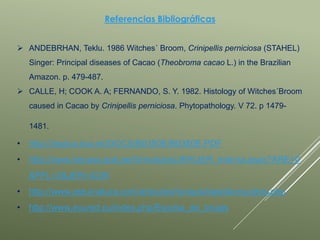 Referencias Bibliográficas
 ANDEBRHAN, Teklu. 1986 Witches´ Broom, Crinipellis perniciosa (STAHEL)
Singer: Principal diseases of Cacao (Theobroma cacao L.) in the Brazilian
Amazon. p. 479-487.
 CALLE, H; COOK A. A; FERNANDO, S. Y. 1982. Histology of Witches´Broom
caused in Cacao by Crinipellis perniciosa. Phytopathology. V 72. p 1479-
1481.
• http://repiica.iica.int/DOCS/B0350E/B0350E.PDF
• http://www.senasa.gob.pe/0/modulos/JER/JER_Interna.aspx?ARE=0
&PFL=2&JER=4226
• http://www.asturnatura.com/articulos/hongos/basidiomycetes.php
• http://www.ecured.cu/index.php/Escoba_de_brujas
 