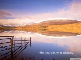 Tres cosas que son tu elección ...