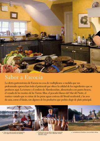 Sabor a Escocia
     La oferta gastronómica de Escocia no cesa de multiplicarse a medida que sus
     profesionales aprovechan todo el potencial que ofrece la calidad de los ingredientes que se
     producen aquí. La ternera y el cordero de Aberdeenshire, alimentados con pastos frescos,
     el venado de los montes de las Tierras Altas, el pescado blanco del Mar del Norte, el
     marisco variado que se extrae de las puras aguas costeras del litoral occidental, y las aves
     de caza, como el faisán, son algunos de los productos que podrás elegir de plato principal.




1	 Cena con vistas al puerto de Portpatrick,   1	 Producción de una delicia regional, el pescado   1	 La destilería de Strathisla, cerca de Keith, Moray.
  en la región de Dumfries & Galloway.           ahumado conocido como «Arbroath smokie»,
                                                 Arbroath, Angus.
 