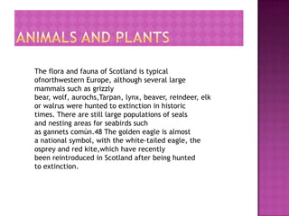 The flora and fauna of Scotland is typical
ofnorthwestern Europe, although several large
mammals such as grizzly
bear, wolf, aurochs,Tarpan, lynx, beaver, reindeer, elk
or walrus were hunted to extinction in historic
times. There are still large populations of seals
and nesting areas for seabirds such
as gannets común.48 The golden eagle is almost
a national symbol, with the white-tailed eagle, the
osprey and red kite,which have recently
been reintroduced in Scotland after being hunted
to extinction.
 