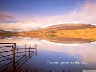 Tres cosas que son tu elección ...