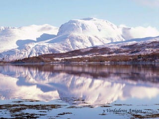y Verdaderos Amigos …
