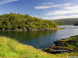 La arrogancia ...