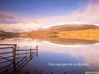 Tres cosas que son tu elección ...
