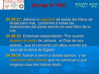 ¡¡EEssccooggee llaa VViiddaa!! חָטוַחף לַחחֳטוטווֹףף 
DDtt 2299::2211 JJeehhoovváá lloo aappaarrttaarráá ddee ttooddaass llaass ttrriibbuuss ddee 
IIssrraaeell ppaarraa mmaall,, ccoonnffoorrmmee aa ttooddaass llaass 
mmaallddiicciioonneess ddeell ppaaccttoo eessccrriittoo eenn eessttee lliibbrroo ddee llaa 
LLeeyy.. 
DDtt 2299::2255 EEnnttoonncceess rreessppoonnddeerráánn:: PPoorr ccuuaannttoo 
ddeejjaarroonn eell ppaaccttoo ddee JJeehhoovváá,, eell DDiiooss ddee ssuuss 
ppaaddrreess,, qquuee ééll ccoonncceerrttóó ccoonn eellllooss ccuuaannddoo llooss 
ssaaccóó ddee llaa ttiieerrrraa ddee EEggiippttoo;; 
DDtt 2299::2266 ffuueerroonn aa sseerrvviirr aa ddiioosseess aajjeennooss,, yy ssee 
iinncclliinnaarroonn aannttee ddiioosseess qquuee nnoo ccoonnooccííaann yy qquuee 
nniinngguunnaa ccoossaa lleess hhaabbííaann ddaaddoo.. 
 