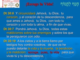 ¡¡EEssccooggee llaa VViiddaa!! חָטוַחף לַחחֳטוטווֹףף 
DDtt 3300::66 YY cciirrccuunncciiddaarráá JJeehhoovváá,, ttuu DDiiooss,, ttuu 
ccoorraazzóónn,, yy eell ccoorraazzóónn ddee ttuu ddeesscceennddeenncciiaa,, ppaarraa 
qquuee aammeess aa JJeehhoovváá,, ttuu DDiiooss,, ccoonn ttooddoo ttuu 
ccoorraazzóónn yy ccoonn ttooddaa ttuu aallmmaa,, aa ffiinn ddee qquuee vviivvaass.. 
DDtt 3300::77 PPoonnddrráá JJeehhoovváá,, ttuu DDiiooss,, ttooddaass eessttaass 
mmaallddiicciioonneess ssoobbrree ttuuss eenneemmiiggooss yy ssoobbrree llooss qquuee 
ttee ppeerrssiigguuiieerroonn ccoonn ooddiioo.. 
DDtt 3300::1199 AA llooss cciieellooss yy aa llaa ttiieerrrraa llllaammoo ppoorr 
tteessttiiggooss hhooyy ccoonnttrraa vvoossoottrrooss,, ddee qquuee ooss hhee 
ppuueessttoo ddeellaannttee llaa vviiddaa yy llaa mmuueerrttee,, llaa bbeennddiicciióónn 
yy llaa mmaallddiicciióónn;; eessccooggee,, ppuueess,, llaa vviiddaa,, ppaarraa qquuee 
vviivvaass ttúú yy ttuu ddeesscceennddeenncciiaa,, 
 