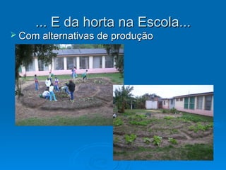 ... E da horta na Escola...
 Com alternativas de produção
 
