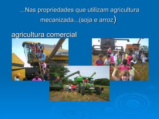 ...Nas propriedades que utilizam agricultura
         mecanizada...(soja e arroz)

agricultura comercial
 