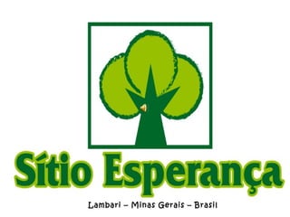 Lambari – Minas Gerais – Brasil
 