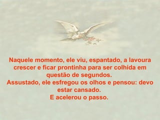Naquele momento, ele viu, espantado, a lavoura crescer e ficar prontinha para ser colhida em questão de segundos.  Assustado, ele esfregou os olhos e pensou: devo estar cansado.  E acelerou o passo.   