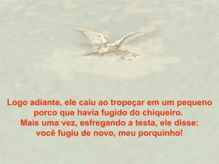 Logo adiante, ele caiu ao tropeçar em um pequeno porco que havia fugido do chiqueiro.  Mais uma vez, esfregando a testa, ele disse: você fugiu de novo, meu porquinho!  