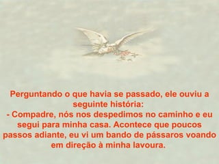 Perguntando o que havia se passado, ele ouviu a seguinte história:  - Compadre, nós nos despedimos no caminho e eu segui para minha casa. Acontece que poucos passos adiante, eu vi um bando de pássaros voando em direção à minha lavoura.  