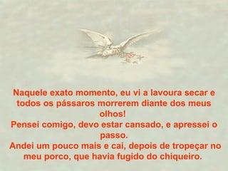 Naquele exato momento, eu vi a lavoura secar e todos os pássaros morrerem diante dos meus olhos!  Pensei comigo, devo estar cansado, e apressei o passo. Andei um pouco mais e cai, depois de tropeçar no meu porco, que havia fugido do chiqueiro.  