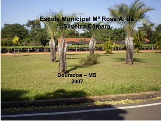 Dourados - MS - 2007 Escola Municipal Mª Rosa A. da Silveira Câmara Dourados – MS  2007 