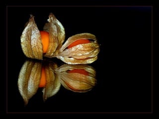 Escola 2   a palavra