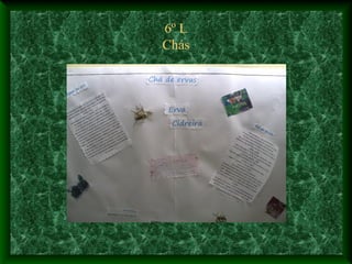 6º L
Chás
 