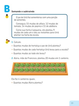 77
Somando e subtraindo
O pai de Uirá fez sementeiras com uma porção
de sementes.
Conseguiu 15 mudas de alface, 12 mudas de
tomate, 14 mudas de pepino e 11 de abóbora.
Como sua horta é pequena, ele plantou 9
mudas de cada um e deu as restantes para Uirá
plantar na horta da escola.
1 Calcule:
•	Quantas mudas de hortaliça o pai de Uirá plantou?
•	Quantas mudas de cada hortaliça Uirá levou para a escola?
•	Quantas mudas ao todo ele levou?
2 Alzira, mãe do Francisco, plantou 20 mudas em 1 canteiro.
Ela fez 4 canteiros iguais.
•	Quantas mudas Alzira plantou?
B
 