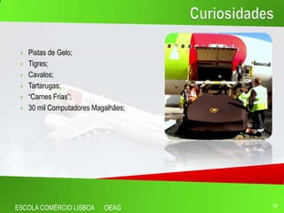    Pistas de Gelo;
    Tigres;
    Cavalos;
    Tartarugas;
    “Carnes Frias”;
    30 mil Computadores Magalhães;




ESCOLA COMÉRCIO LISBOA      OEAG      19
 