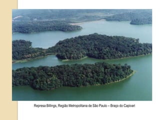 Represa Billings, Região Metropolitana de São Paulo – Braço do Capivari
 