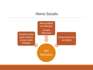 Homo Socialis 
Ser 
Humano 
Condicionado 
pelo sistema 
social e pela 
biologia 
Necessidade 
de afiliação 
Grupos 
informais 
Comportamento 
complexo 
 