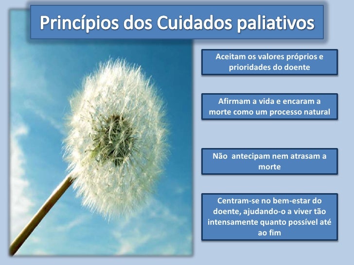Palestra "cuidados paliativos"