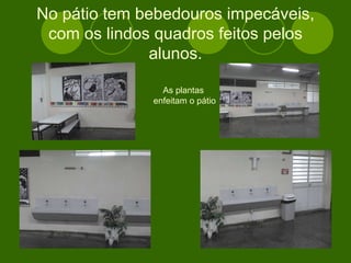 No pátio tem bebedouros impecáveis, com os lindos quadros feitos pelos alunos. As plantas  enfeitam o pátio 
