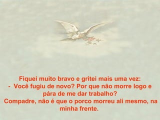 Fiquei muito bravo e gritei mais uma vez:
- Você fugiu de novo? Por que não morre logo e
pára de me dar trabalho?
Compadre, não é que o porco morreu ali mesmo, na
minha frente.
 