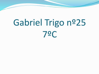 Gabriel Trigo nº25
7ºC
 