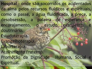 Hospital - onde são socorridos os acidentados
da alma pelos recursos fluídicos e espirituais,
como o passe, a água fluidificada, a prece, a
desobsessão, a palavra de esperança e
encorajamento, o estudo evangélico e
doutrinário.
Estudoterapia.
Evangelhoterapia.
Laborterapia.
Acolhimento Fraterno.
Promoção da Dignidade Humana, Social e
Espiritual.
24
 