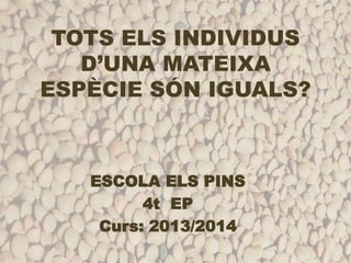 TOTS ELS INDIVIDUS
D’UNA MATEIXA
ESPÈCIE SÓN IGUALS?
ESCOLA ELS PINS
4t EP
Curs: 2013/2014
 