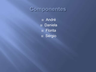 ComponentesAndréDanielaFloritaSérgio