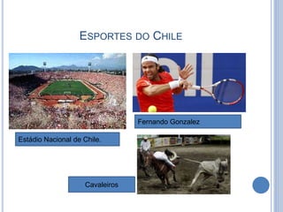 ESPORTES DO CHILE
Cavaleiros
Estádio Nacional de Chile.
Fernando Gonzalez
 