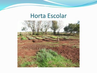 Horta Escolar
 