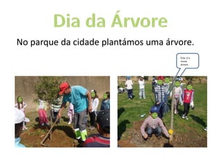 No parque da cidade plantámos uma árvore.
Esta é a
nossa
árvore.
 