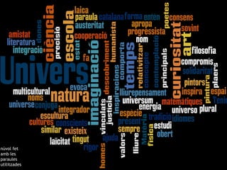 núvol fet amb les paraules  utilitzades 