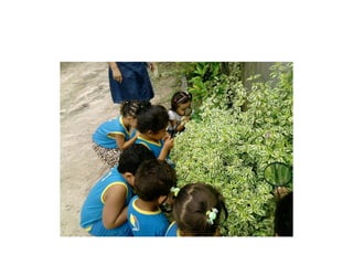 Escola luís freire power pont