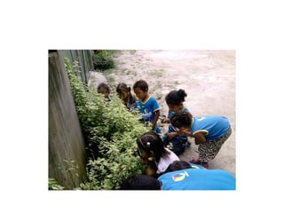 Escola luís freire power pont